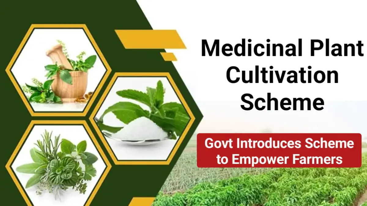 Medicinal Plant Cultivation Scheme: Government Launches Initiative to Empower Farmers in Medicinal Plant Cultivation